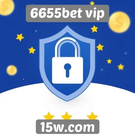 Avaliação da segurança no site 6655bet vip